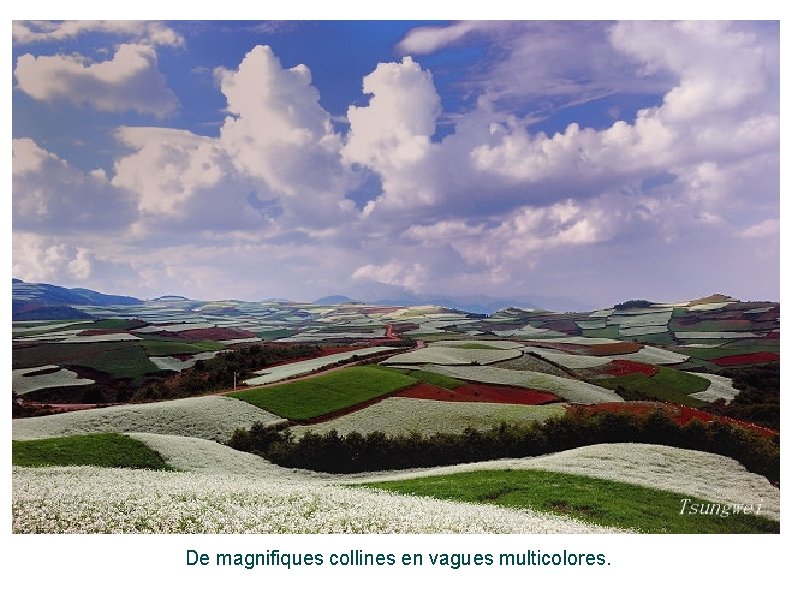 De magnifiques collines en vagues multicolores. 