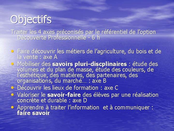 Objectifs Traiter les 4 axes préconisés par le référentiel de l’option Découverte Professionnelle -