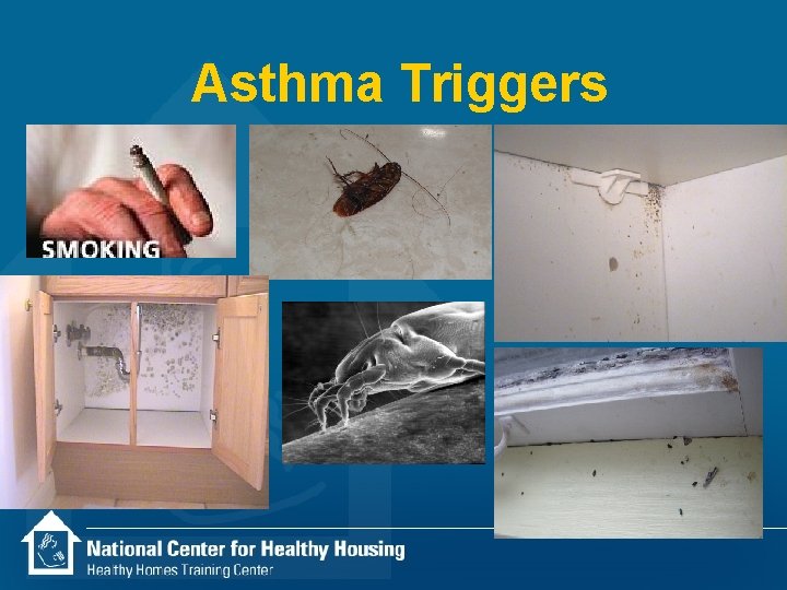 Asthma Triggers 