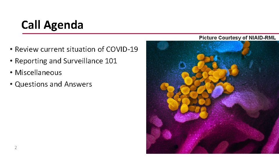 Call Agenda Picture Courtesy of NIAID-RML • Review current situation of COVID-19 • Reporting