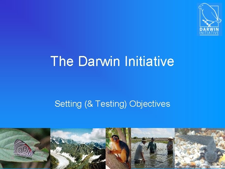 The Darwin Initiative Setting (& Testing) Objectives 