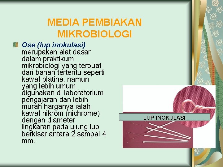 MEDIA PEMBIAKAN MIKROBIOLOGI Ose (lup inokulasi) merupakan alat dasar dalam praktikum mikrobiologi yang terbuat