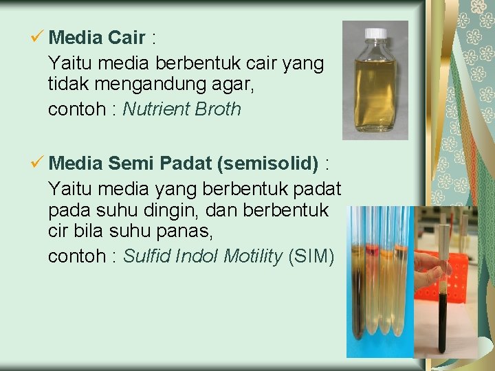 ü Media Cair : Yaitu media berbentuk cair yang tidak mengandung agar, contoh :