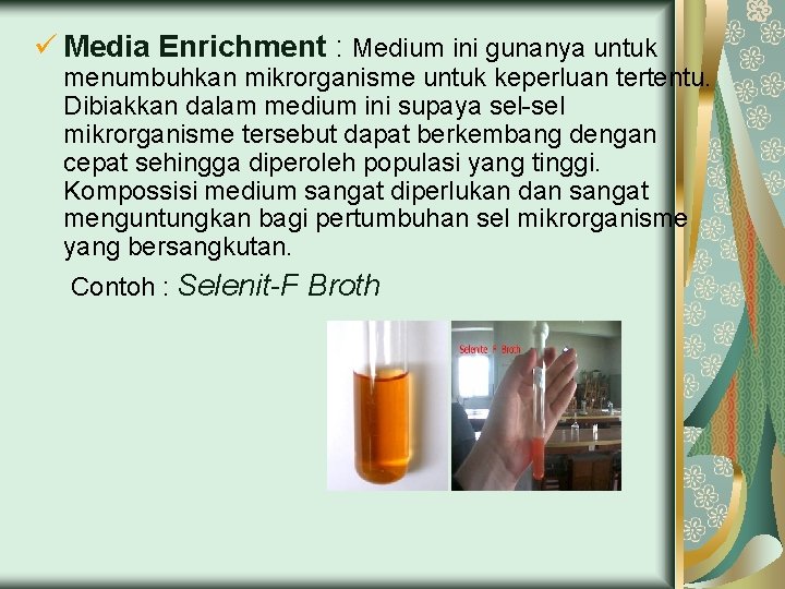 ü Media Enrichment : Medium ini gunanya untuk menumbuhkan mikrorganisme untuk keperluan tertentu. Dibiakkan