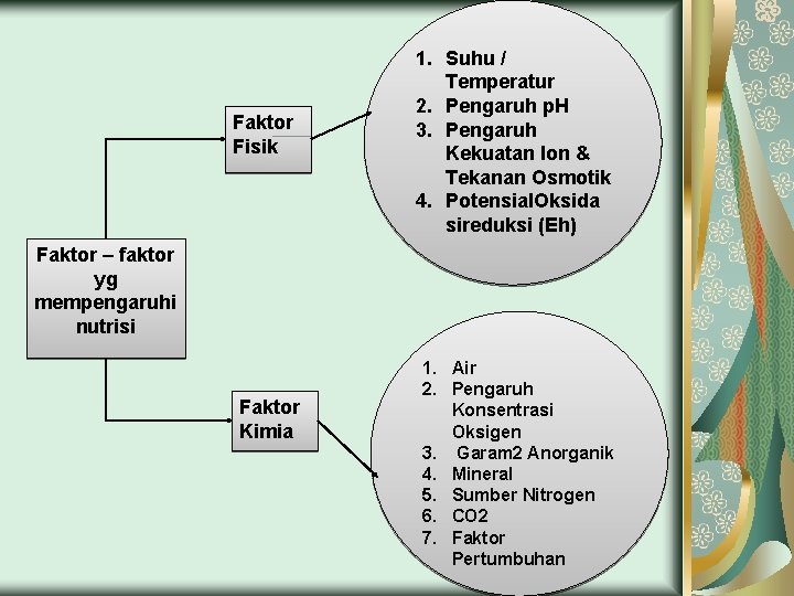 Faktor Fisik 1. Suhu / Temperatur 2. Pengaruh p. H 3. Pengaruh Kekuatan Ion