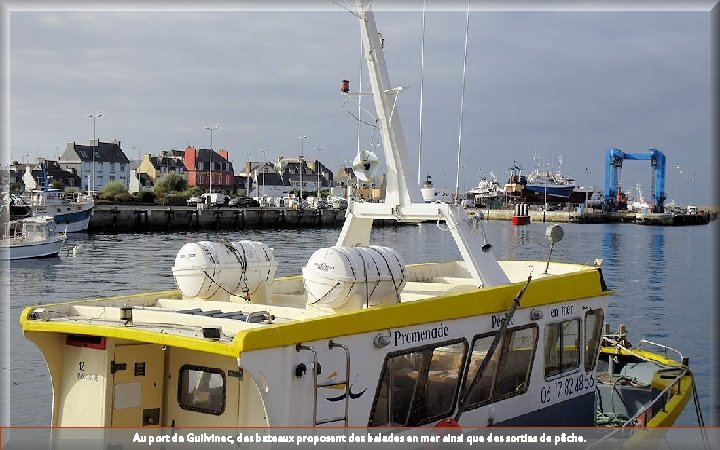 Au port de Guilvinec, des bateaux proposent des balades en mer ainsi que des