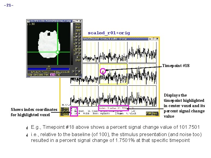 -21 - scaled_r 01+orig Timepoint #18 Shows index coordinates for highlighted voxel G G