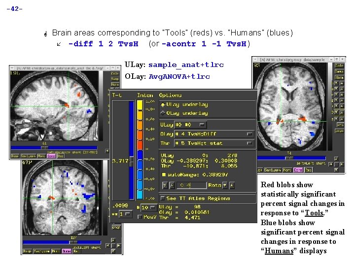 -42 - G Brain areas corresponding to “Tools” (reds) vs. “Humans” (blues) å -diff