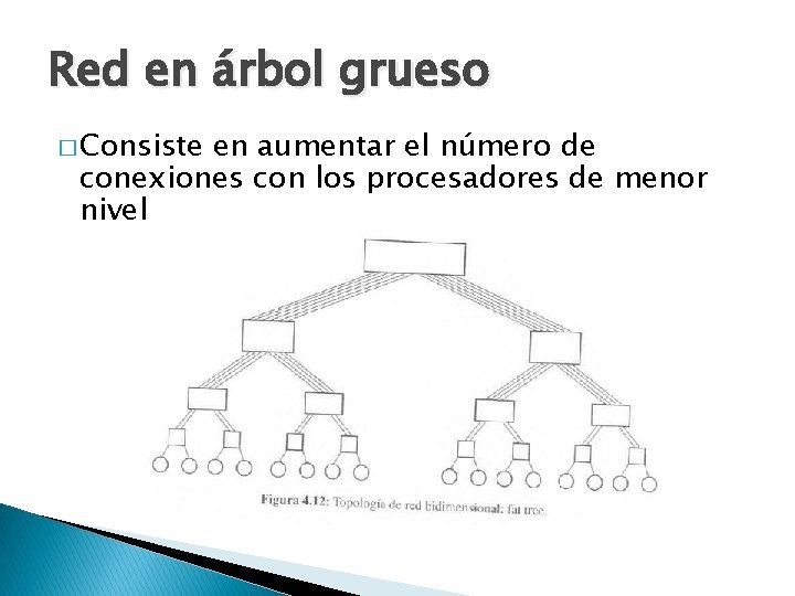 Red en árbol grueso � Consiste en aumentar el número de conexiones con los
