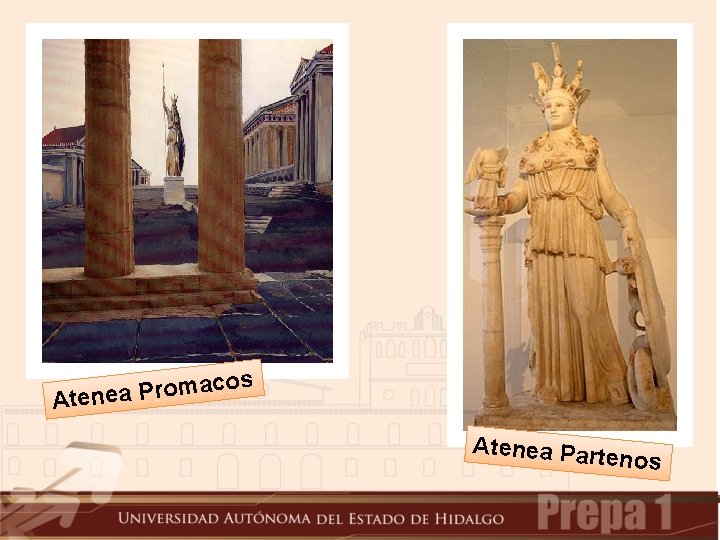 cos a m o r P a e Atenea Part enos 