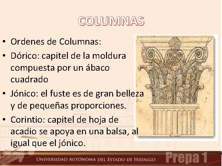 COLUMNAS • Ordenes de Columnas: • Dórico: capitel de la moldura compuesta por un