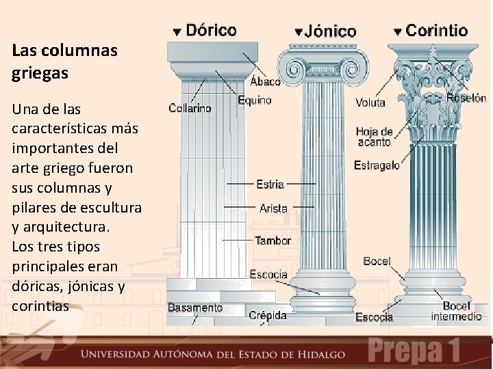 Las columnas griegas Una de las características más importantes del arte griego fueron sus