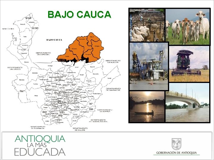 BAJO CAUCA 