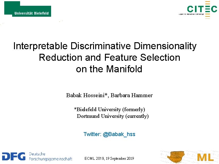 Interpretable Discriminative Dimensionality Reduction and Feature ...