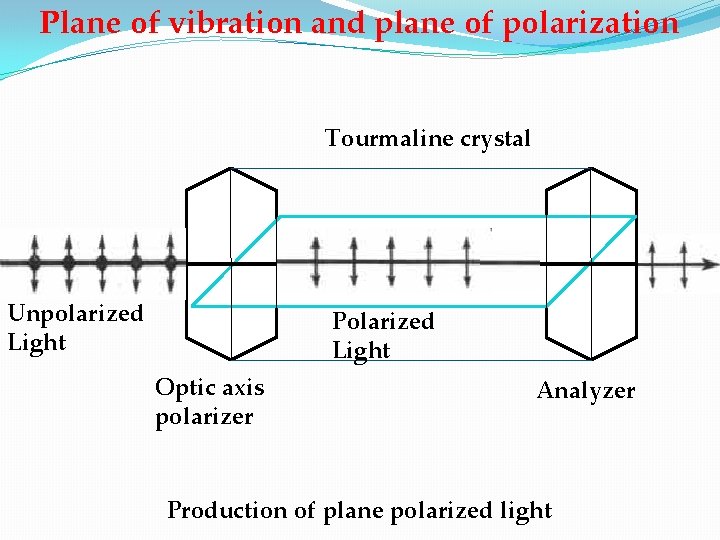 Plane of vibration and plane of polarization Tourmaline crystal Unpolarized Light Polarized Light Optic