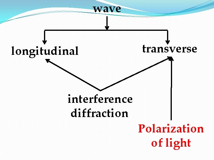 wave longitudinal interference diffraction transverse Polarization of light 