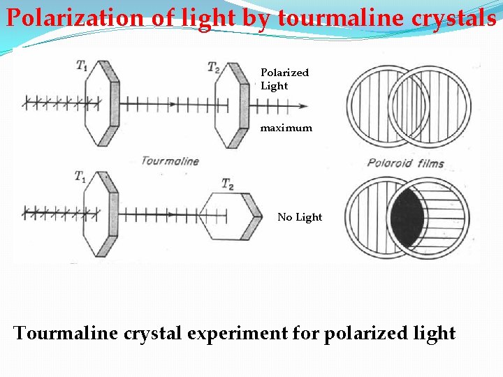 Polarization of light by tourmaline crystals Polarized Light maximum No Light Tourmaline crystal experiment