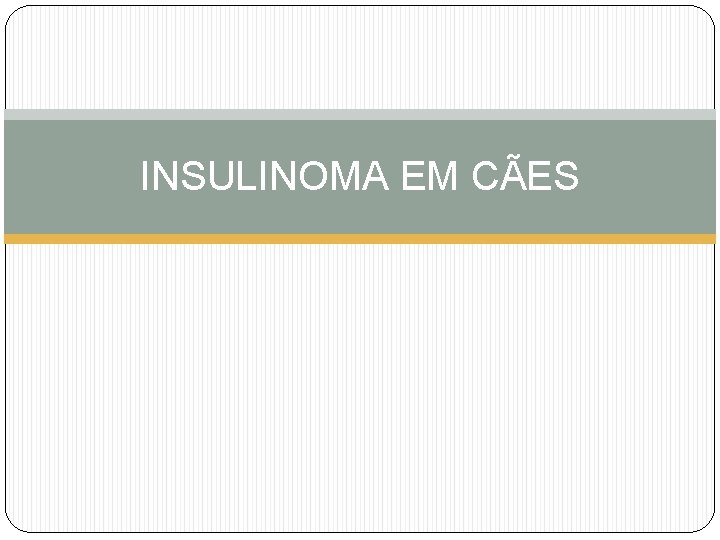 INSULINOMA EM CÃES 