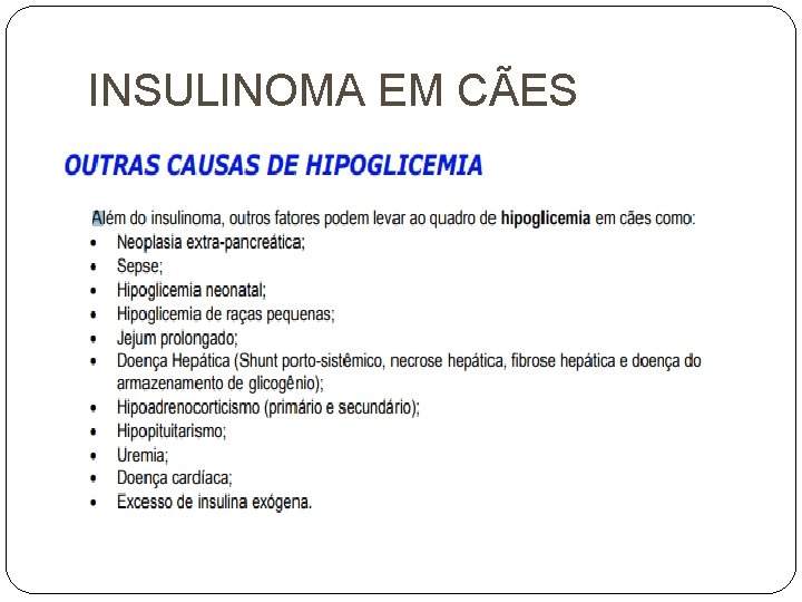 INSULINOMA EM CÃES 