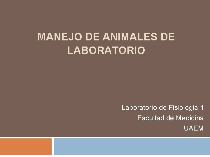 MANEJO DE ANIMALES DE LABORATORIO Laboratorio de Fisiologia 1 Facultad de Medicina UAEM 