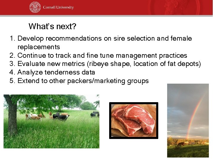 What’s next? 1. Develop recommendations on sire selection and female replacements 2. Continue to