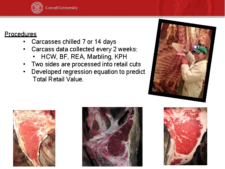 Procedures • Carcasses chilled 7 or 14 days • Carcass data collected every 2