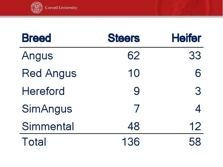 Breed Steers Heifer Angus 62 33 Red Angus 10 6 Hereford 9 3 Sim.