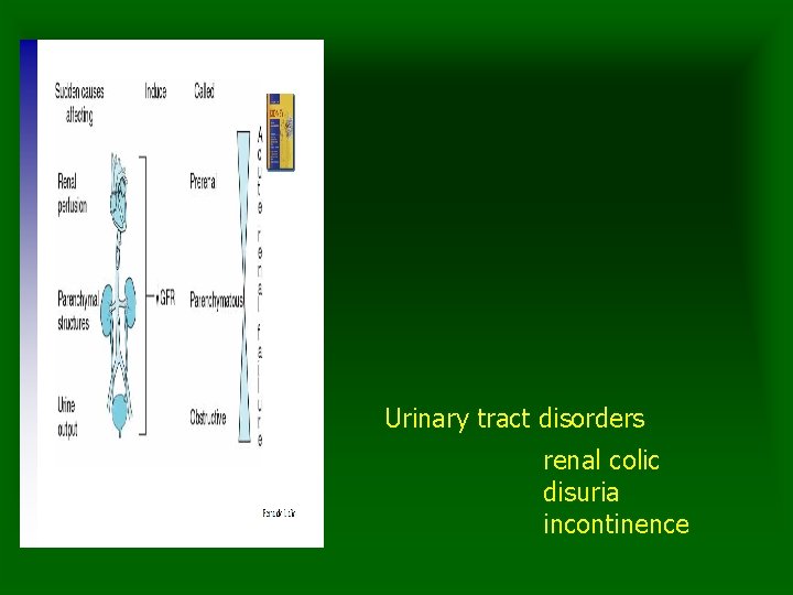 Urinary tract disorders renal colic disuria incontinence 