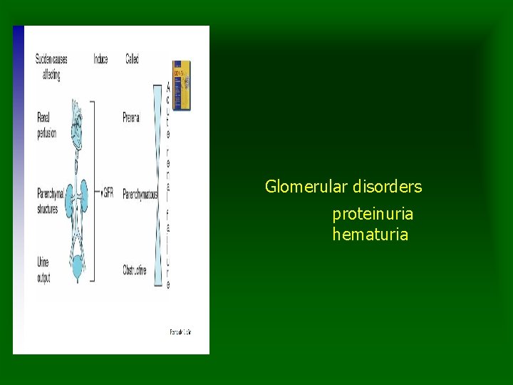 Glomerular disorders proteinuria hematuria 