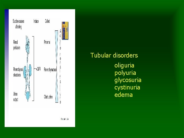 Tubular disorders oliguria polyuria glycosuria cystinuria edema 