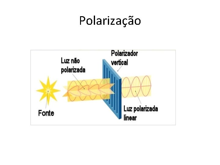 Polarização 