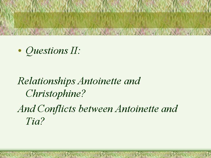  • Questions II: Relationships Antoinette and Christophine? And Conflicts between Antoinette and Tia?