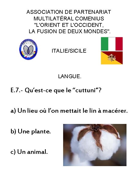 ASSOCIATION DE PARTENARIAT MULTILATÉRAL COMENIUS "L'ORIENT ET L'OCCIDENT, LA FUSION DE DEUX MONDES". ITALIE/SICILE