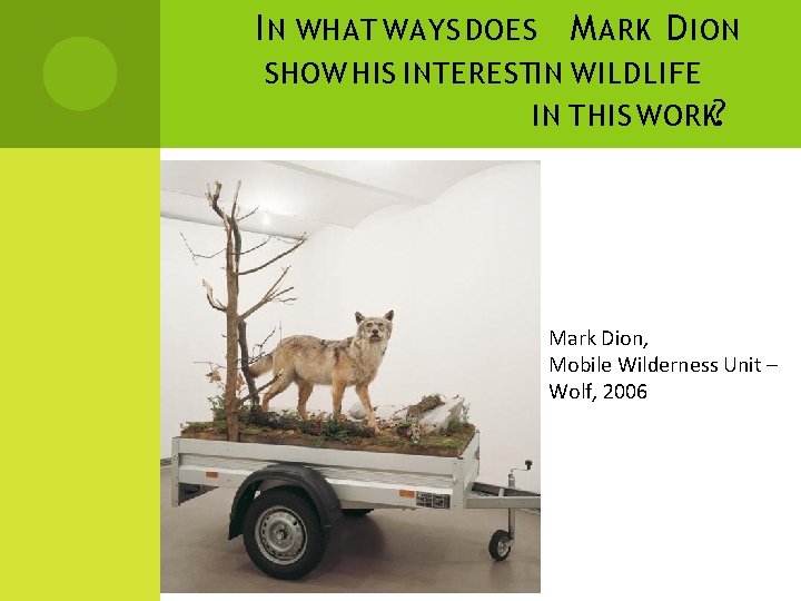 I N WHAT WAYS DOES M ARK D ION SHOW HIS INTERESTIN WILDLIFE IN