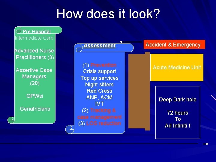 How does it look? Pre Hospital Intermediate Care Advanced Nurse Practitioners (3) Assertive Case