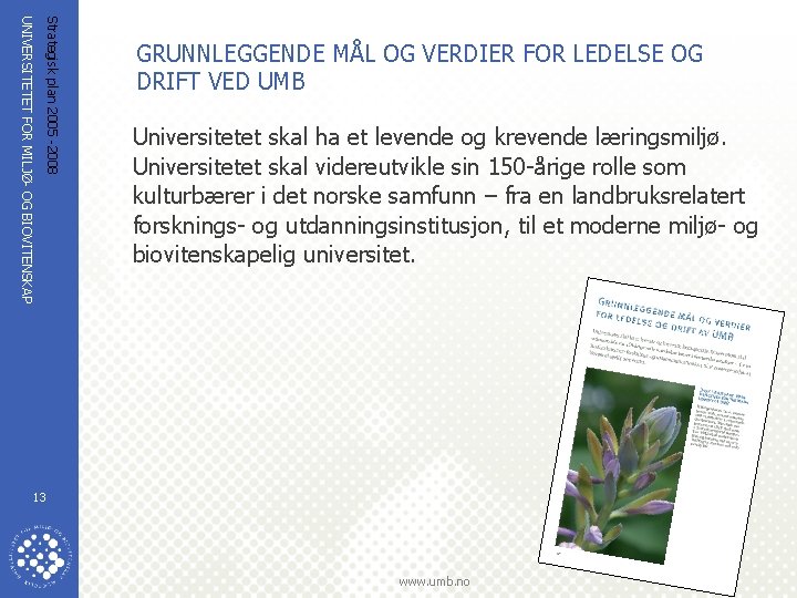 Strategisk plan 2005 -2008 UNIVERSITETET FOR MILJØ- OG BIOVITENSKAP GRUNNLEGGENDE MÅL OG VERDIER FOR