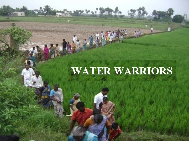 WATER WARRIORS 