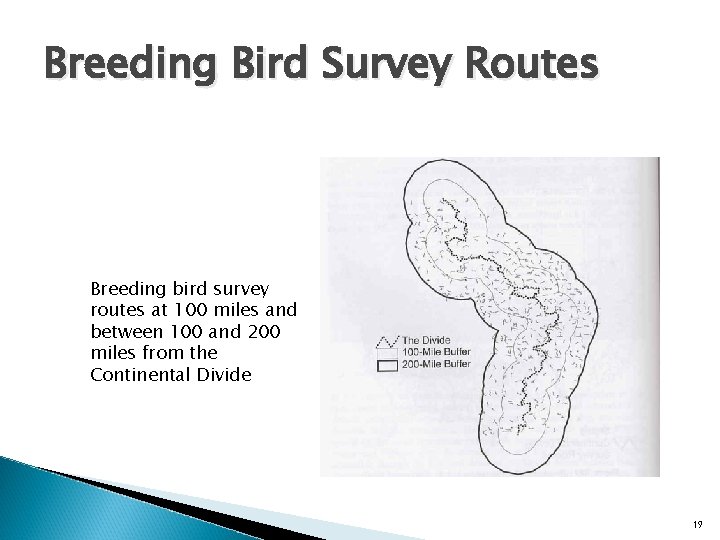 Breeding Bird Survey Routes Breeding bird survey routes at 100 miles and between 100