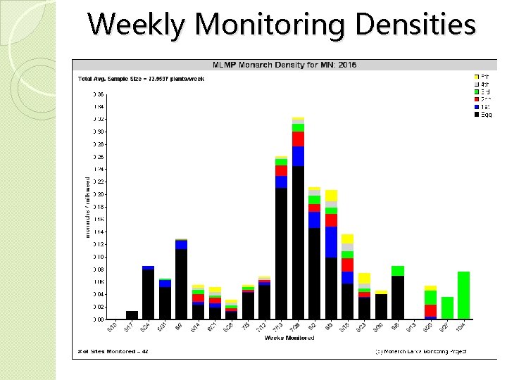 Weekly Monitoring Densities 