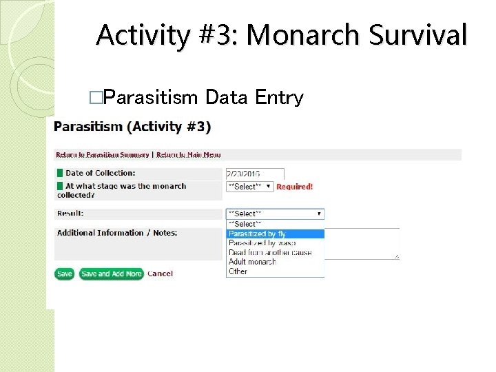 Activity #3: Monarch Survival �Parasitism �MLMP ◦ ◦ ◦ Data Entry Needs: Date collected