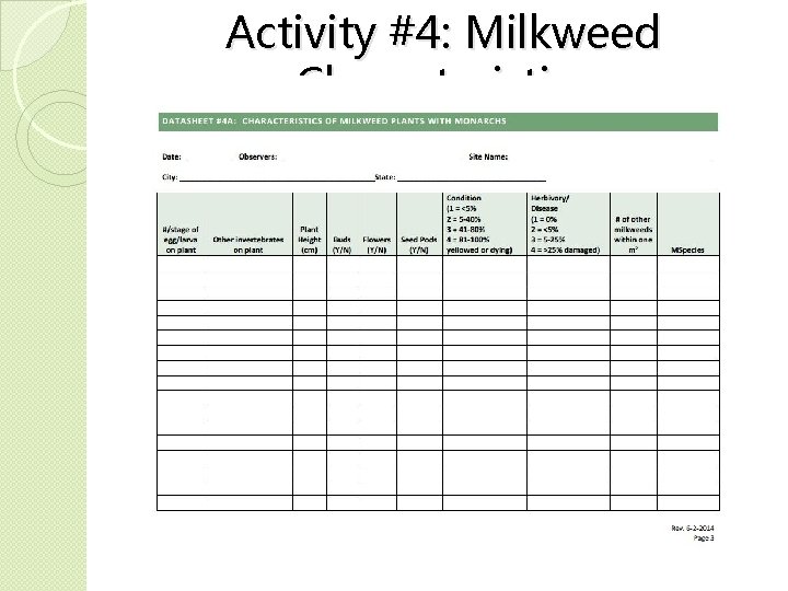 Activity #4: Milkweed Characteristics �Species �Height �Herbivory �Flowering status �Immediate monarch density �Senescence �Invertebrates