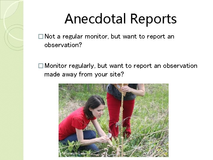 Anecdotal Reports � Not a regular monitor, but want to report an observation? �