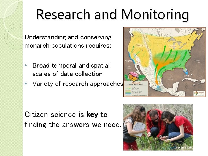 Research and Monitoring Understanding and conserving monarch populations requires: • Broad temporal and spatial