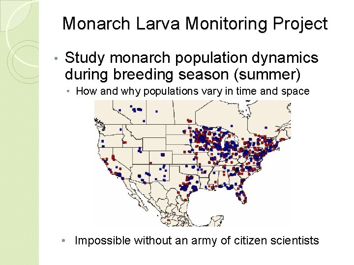 Monarch Larva Monitoring Project • Study monarch population dynamics during breeding season (summer) •