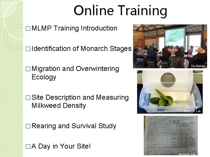 Online Training � MLMP Training Introduction � Identification � Migration of Monarch Stages and