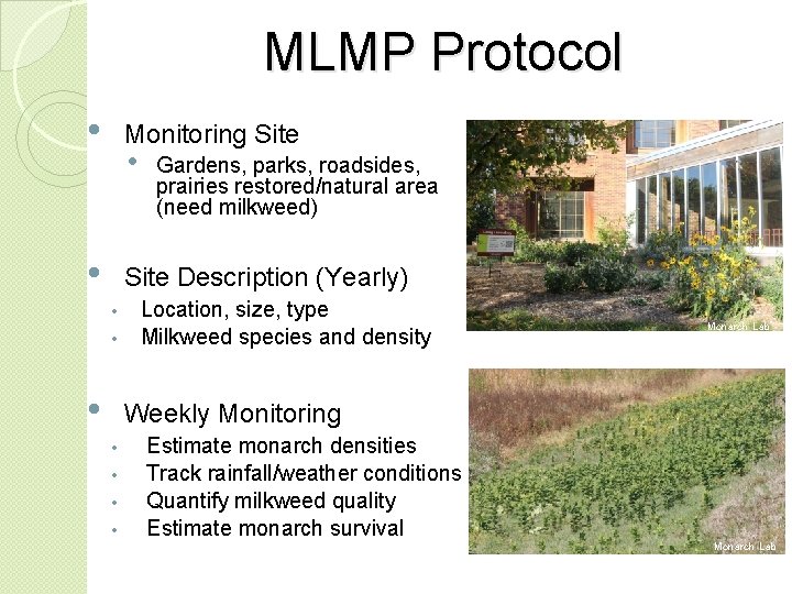 MLMP Protocol • Monitoring Site • • Gardens, parks, roadsides, prairies restored/natural area (need