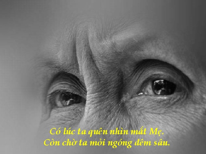 Có lúc ta quên nhìn mắt Mẹ. Còn chờ ta mỏi ngóng đêm sâu.