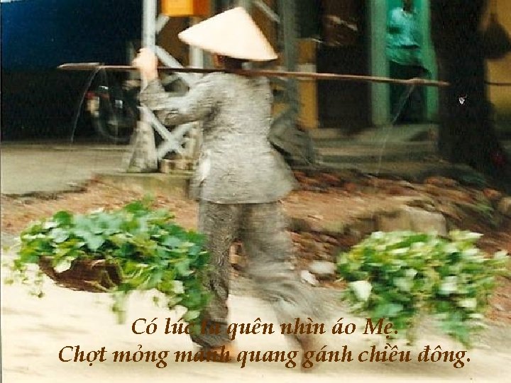 Có lúc ta quên nhìn áo Mẹ. Chợt mỏng manh quang gánh chiều đông.