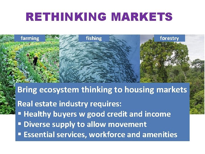 RETHINKING MARKETS farming fishing forestry Bring ecosystem thinking to housing markets Real estate industry RETHINKING MARKETS farming fishing forestry Bring ecosystem thinking to housing markets Real estate industry