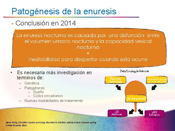 Patogénesis de la enuresis - Conclusión en 2014 • Es necesaria más investigación en